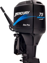 SeaPro™ SeaPro™ TwoStroke 15–75 л.с.