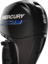 SeaPro™ FourStroke SeaPro™ FourStroke 150 hp