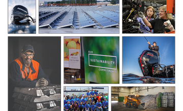 Download the Sustainability Report