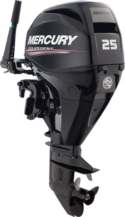 25 EFI