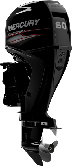 60 EFI