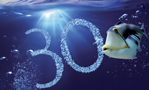 30 Good Reasons For Repowering