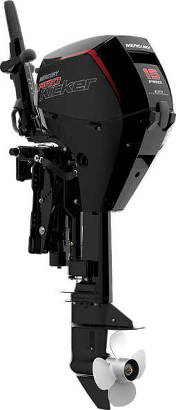 15 EFI