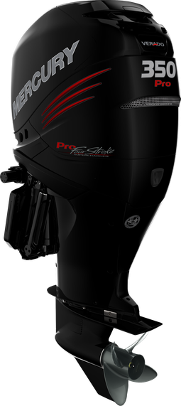 350 Pro FourStroke