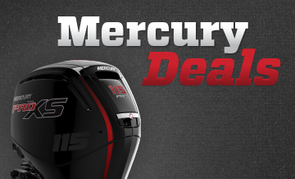 Outboards repowering campaign