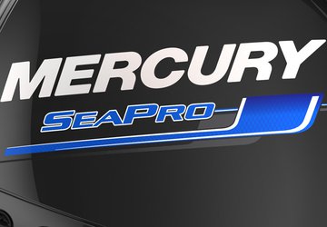 Repotenciación con SeaPro