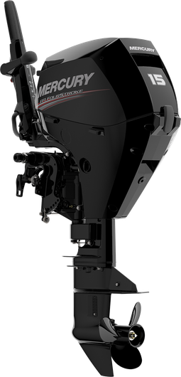 15 EFI